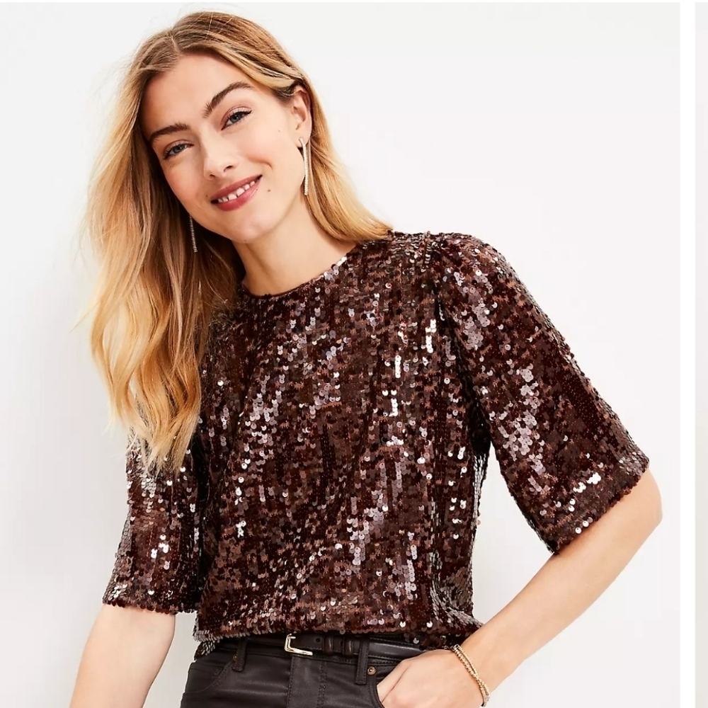 Loft Brown Sequin Scoop Neck Puff Short Half Sleeve Lined Blouse,  sz XL